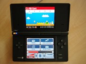 DSi