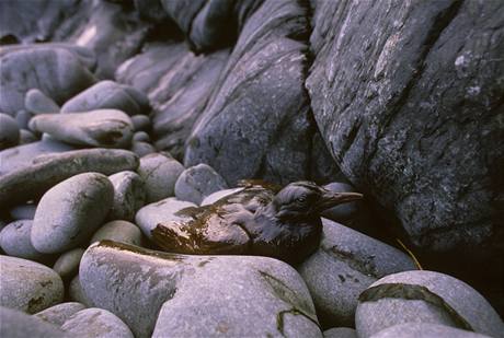 Havrie ropnho tankeru Exxon Valdez u Aljaky v beznu 1989