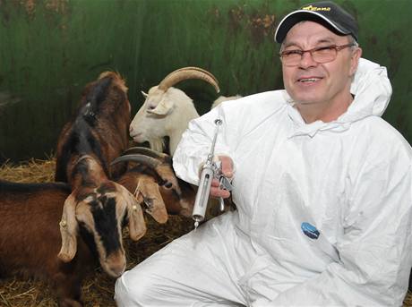 Veteriná Jaroslav Kuja okoval kozy proti katarální horece.