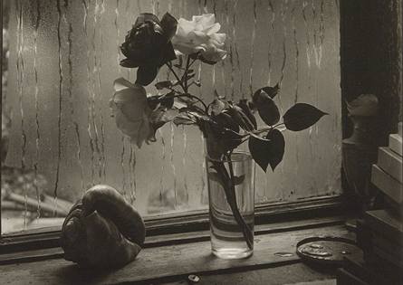 Josef Sudek; fotografie Posledn re, rok 1956