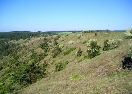 Mohelensk hadcov step