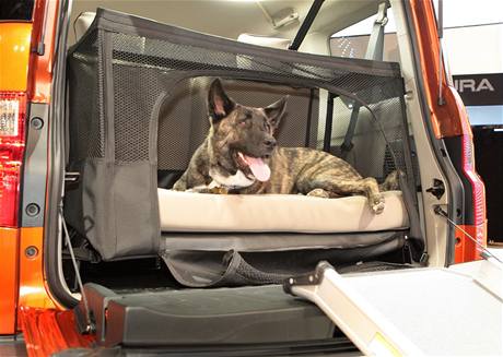 Honda Element Dog Friendly Concept