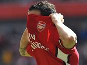 Arsenal: Cesc Fabregas se raduje ze vstelenho glu