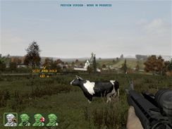 ArmA 2 (PC)