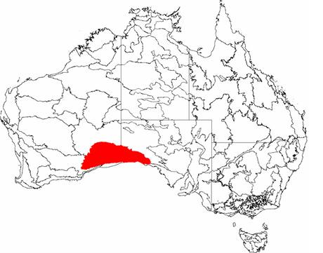 Region Nullabor na map.