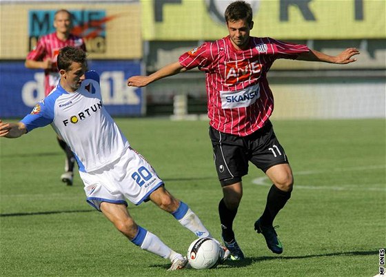 eské Budjovice - Ostrava: hostující Petr Tomaák (v bílém) v souboji s Janem Svátkem