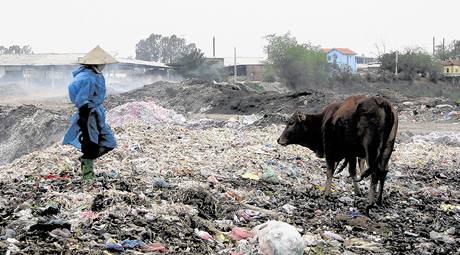 Obec Dao Xa se iv recyklac papru a plast. 