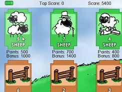 Sheep