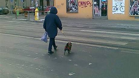 Zruený pechod na kiovatce Mileovská, ipská, Vinohradská. Chodci ho stále pouívají