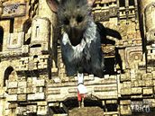 Trico