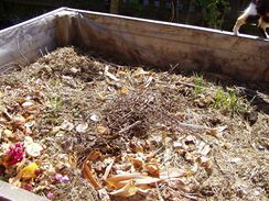 V kompostu by nemly chybt ani vtve a jin hrub odpad