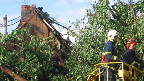 Spadlý strom zdemoloval stavení manel z Olomoucka.
