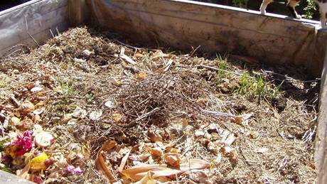 Kolem panelák v Havlíkov Brod by mohly zaít vyrstat komposty. Ilustraní foto