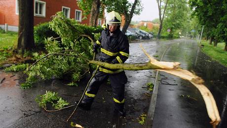 Hasi odstrauje jednu z popadaných vtví po bouce, která se prohnala Zlínem. (22.5.2009)