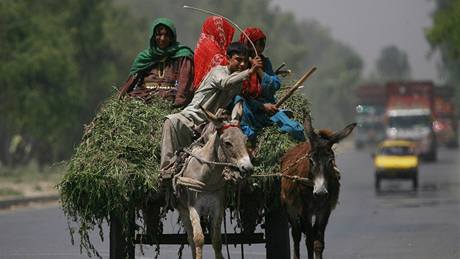 Z pákistánského údolí Svát utekly u statisíce lidí (25. kvtna 2009)