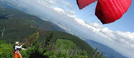 Paraglidistu srazil poryv vzduchu do korun strom. Ilustraní foto