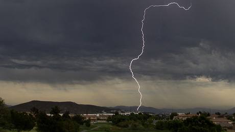 Zásah blesku nikdo nevidl, ale vedle dívky zstal poniený strom. Ilustraní foto.