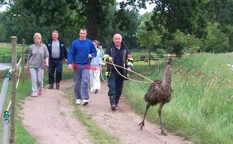 Zachránný ptros na Pardubicku