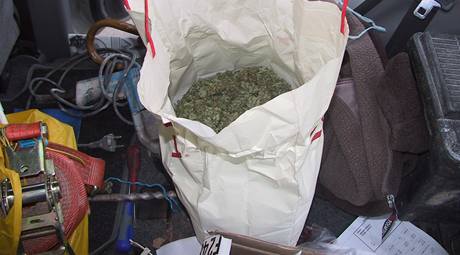 Celnci zabavili dva kilogramy marihuany, kterou nael policejn pes