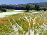 Boukov poas na golfu v Rozti.