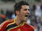  David Villa