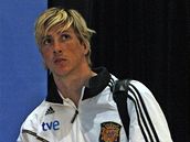 Fernando Torres 