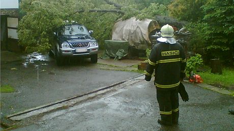 Na Klatovsku spadl strom na altán a osobní auto.
