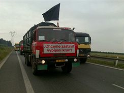 Protestujc zemdlci blokuj provoz v okol Plzn. Nad autem jim vlaje ern vlajka. Zemdlci musej kvli nzkm vkupnm cenm mka vybjet krvy (29. ervna 2009)