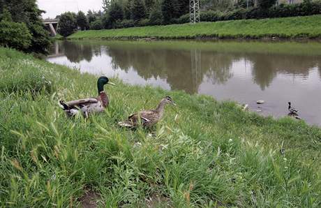 Letovice ekají na protipovodová opatení, ilustraní foto