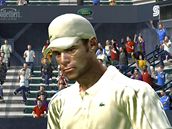 Virtua Tennis 2009 (PC)