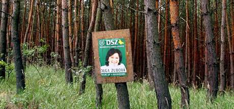 Ped volbami do Evropského parlamentu mla Olga Zubová jednu z nejviditelnjích kampaní. Tehdy jet v barvách DSZ.