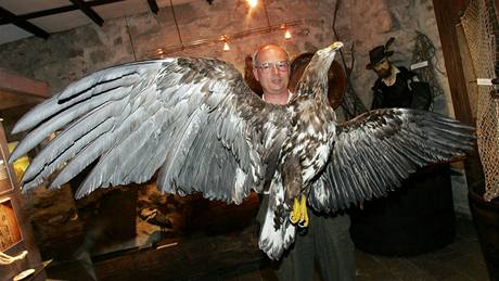 Zoolog Prácheského muzea v Písku Jií ebestián s vycpaným samcem orla moského