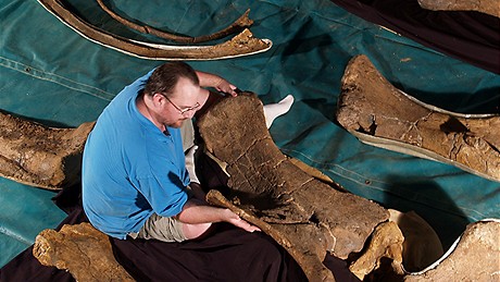 Paleontolog Scott Hocknull s fosiliemi velkého dinosaura nazvaného Matylda (4.7.2009) 