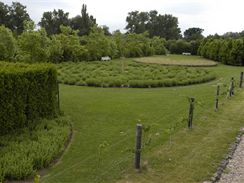 Hned ti bludit vedle sebe najdete v zahradch v Ostr u Lys nad Labem (Botanicus)