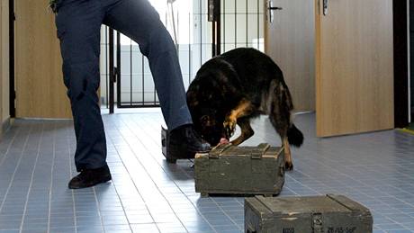 Psovod se psem cvieným na vyhledávání drog v potovních balících
