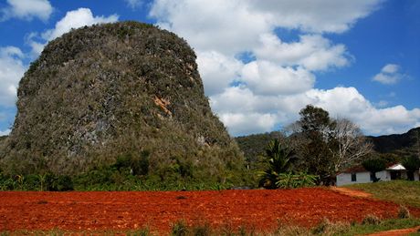 Kuba. Tabáková pole ve Val de Vinales