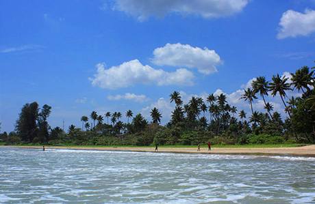 Sr Lanka: palmy. ple a vlny