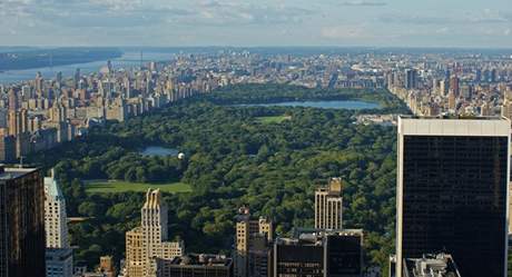 New York - Central park