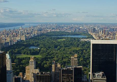 New York - Central park