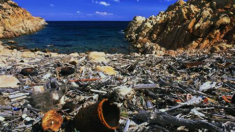 Odpadky zneiují vechny svtové oceány. Severozápadní Pacifik ale nese odpadu nejvíce.