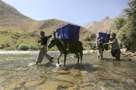 Volebn urny pev v Afghnistnu 3100 osl 
