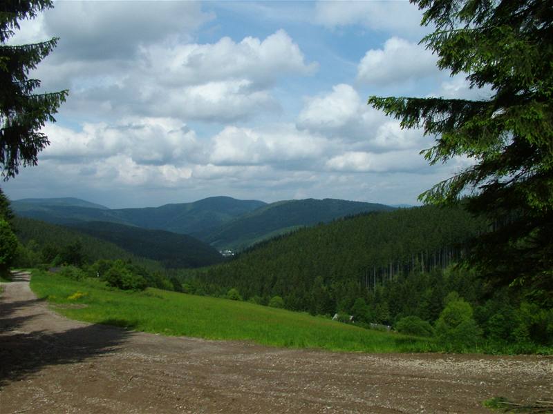 Medvdi v Národní pírodní rezervaci Mioní