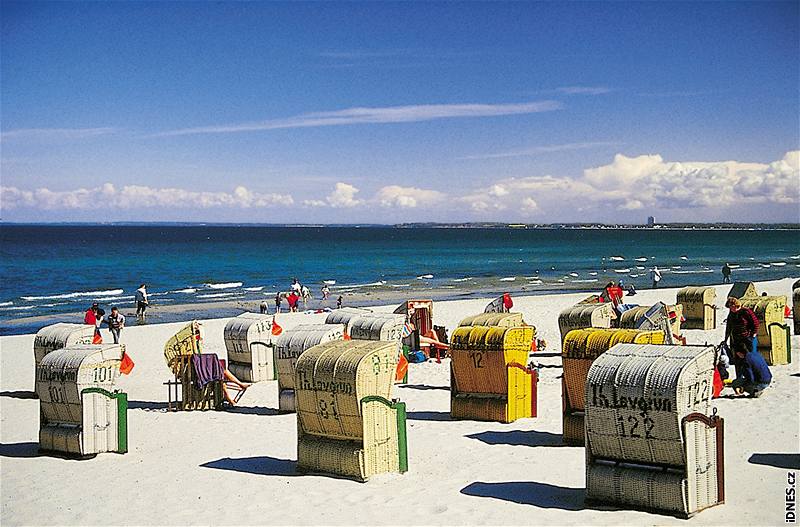 Nmecko, Usedom. Pláové koe jsou na vtin písených pláí, stejn i na Rujan