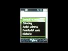 Recenze SE W205 displej