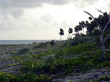 Po Kub na kole. Zvata nrodnho parku Peninsula de Guanahabacoa