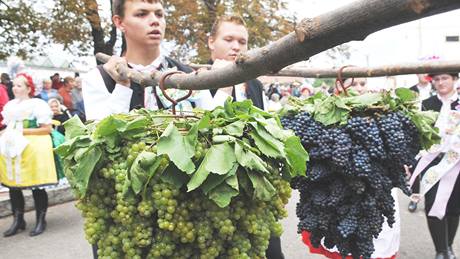 Vinobraní ve Velkých Pavlovicích.