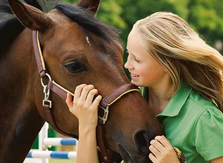 My Horse & Me