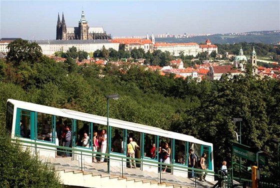 Stromy za 830 tisíc korun mly lemovat dráhu lanovky na Petín. Ale nelze je najít. Ilustraní foto