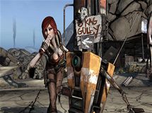 Borderlands (PC)