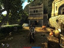 Risen (PC)